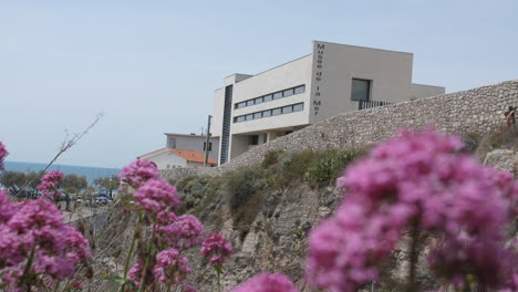Sea-Museum-Sete-with-flower-in-foreground-France